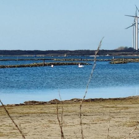 Beach Lodges Oostvoorne Exteriör bild